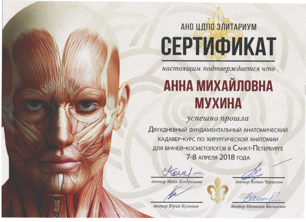 Сертификат - Кадавер-курс по хирургической анатомии. Мухина Анна Михайловна